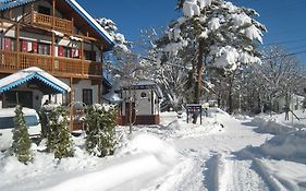 Alpine Wind