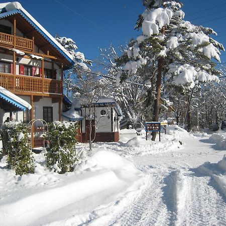 Alpine Wind Bed & Breakfast Hakuba Exterior photo