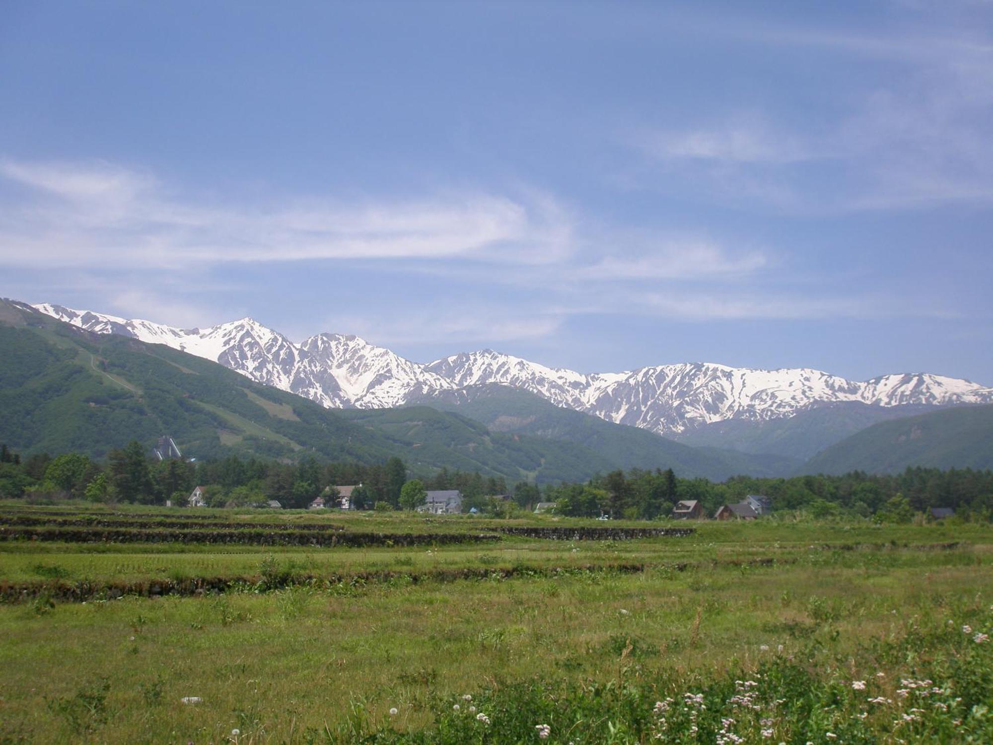 Alpine Wind Bed & Breakfast Hakuba Exterior photo