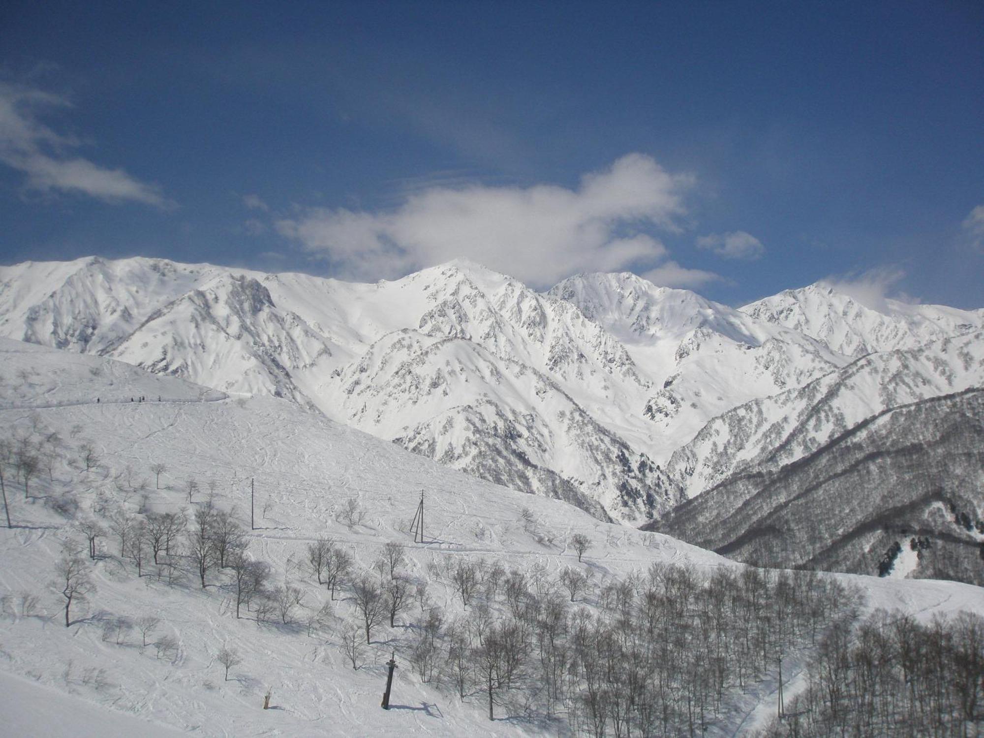 Alpine Wind Bed & Breakfast Hakuba Exterior photo